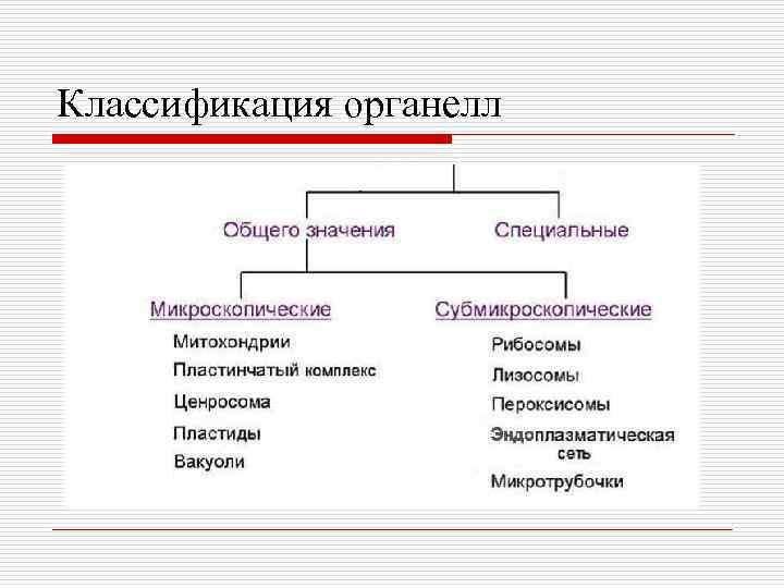 Рассмотрите предложенную схему классификации органоидов клетки запишите в ответ пропущенный термин