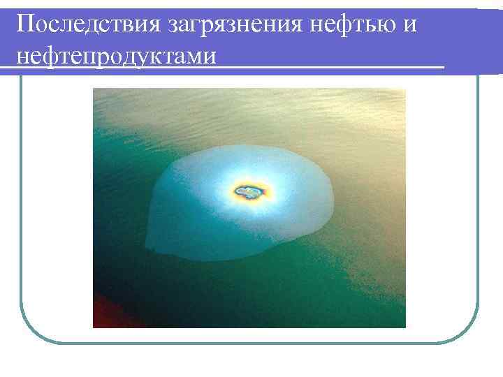 Последствия загрязнения нефтью и нефтепродуктами 