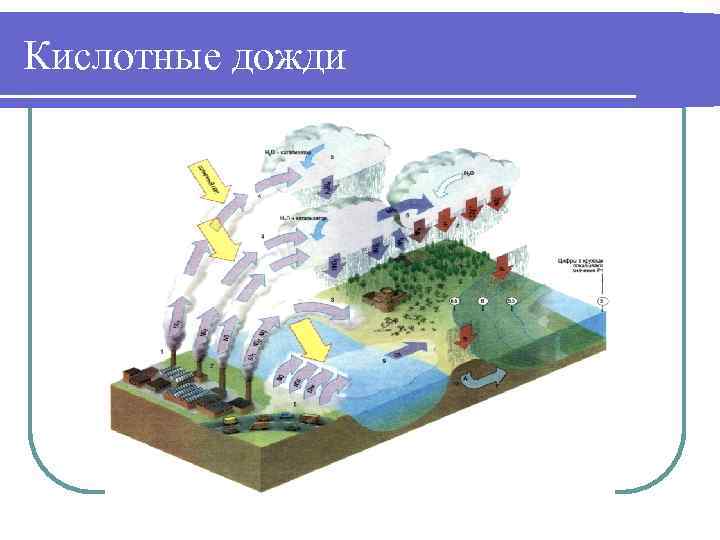 Кислотные дожди 