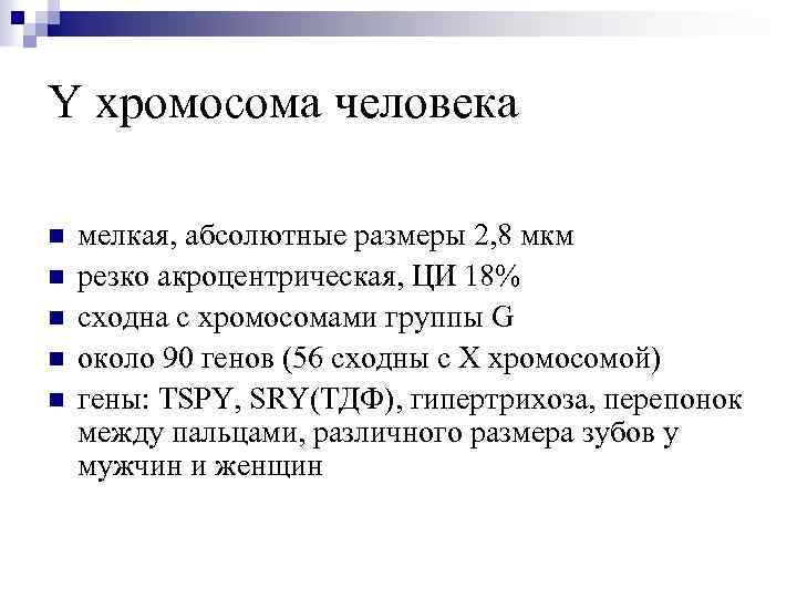 Y хромосома человека n n n мелкая, абсолютные размеры 2, 8 мкм резко акроцентрическая,