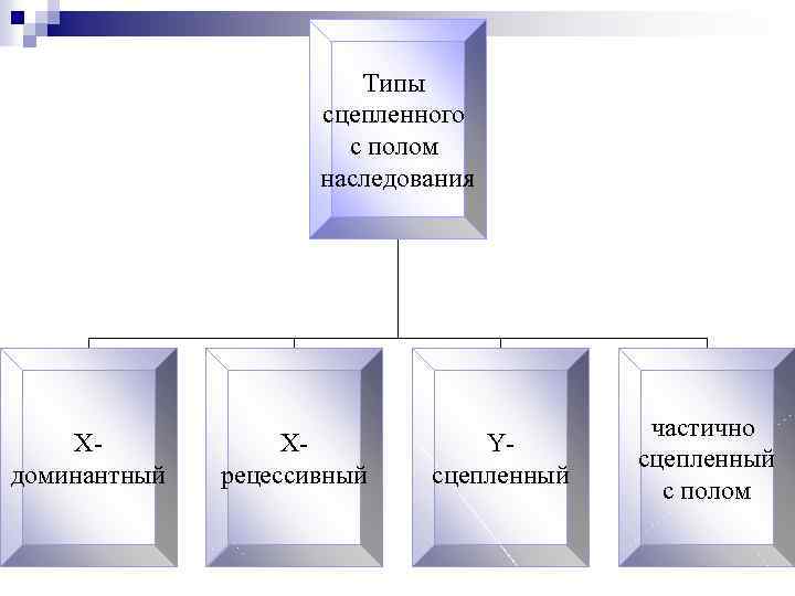 Типы сцепленного с полом наследования Xдоминантный Xрецессивный Yсцепленный частично сцепленный с полом 
