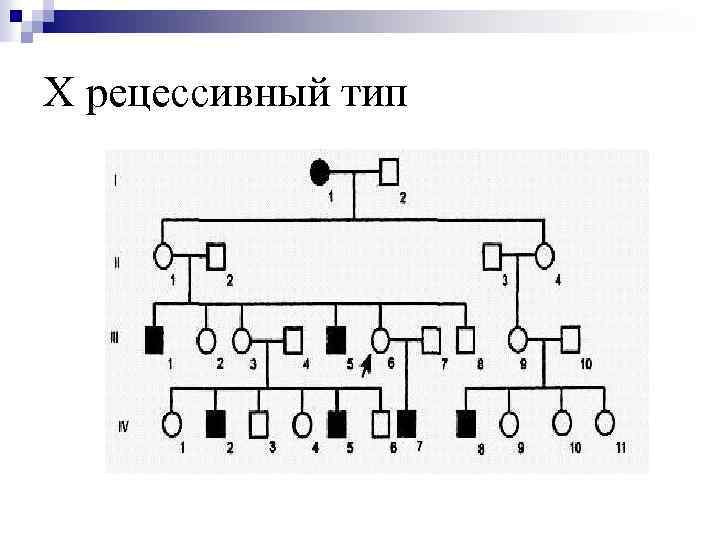 Х рецессивный тип 