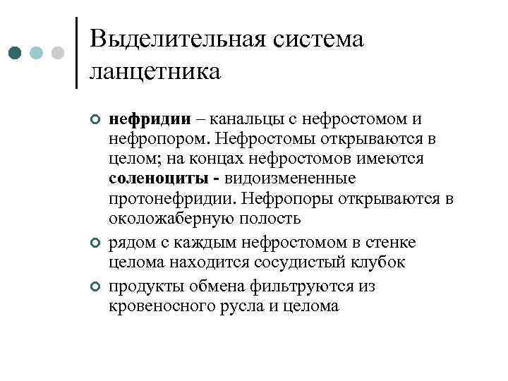 Выделительная система ланцетника ¢ ¢ ¢ нефридии – канальцы с нефростомом и нефропором. Нефростомы