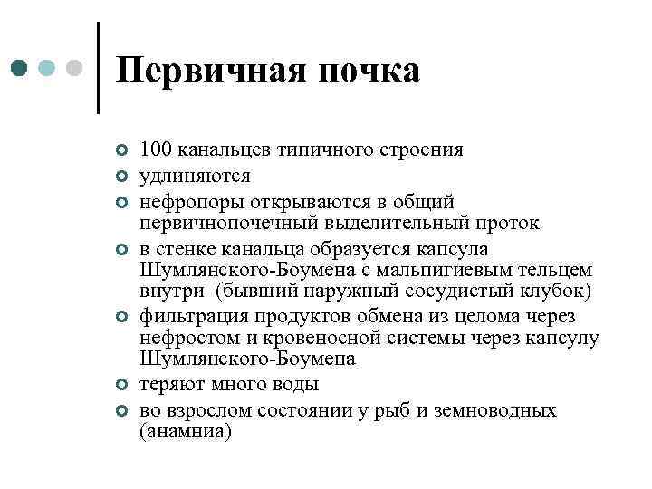 Первичная почка ¢ ¢ ¢ ¢ 100 канальцев типичного строения удлиняются нефропоры открываются в