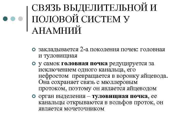 СВЯЗЬ ВЫДЕЛИТЕЛЬНОЙ И ПОЛОВОЙ СИСТЕМ У АНАМНИЙ ¢ ¢ ¢ закладывается 2 -а поколения