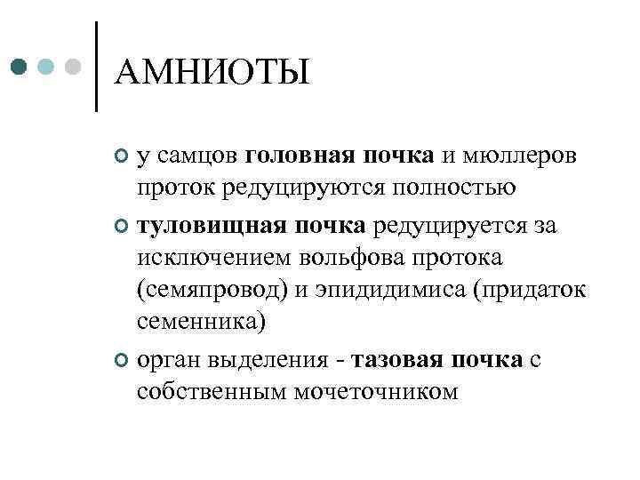 Амниоты это в биологии. Анамнии и амниоты. Группы анамнии и амниоты. Итоги для презентации. Анамнии амниоты таблица.