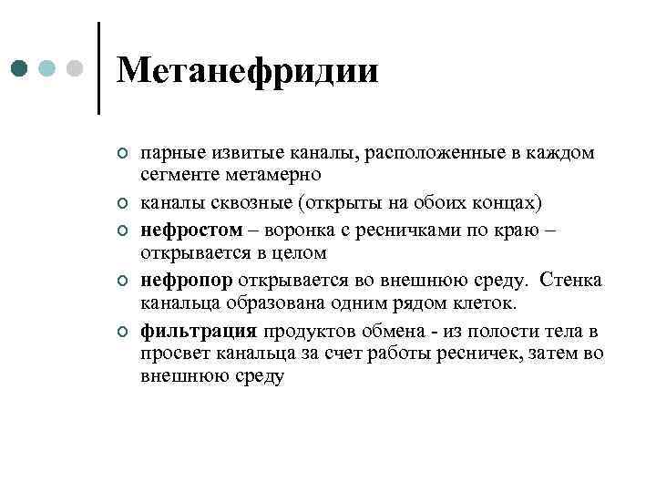 Метанефридии ¢ ¢ ¢ парные извитые каналы, расположенные в каждом сегменте метамерно каналы сквозные