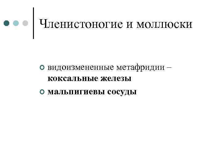 Членистоногие и моллюски видоизмененные метафридии – коксальные железы ¢ мальпигиевы сосуды ¢ 