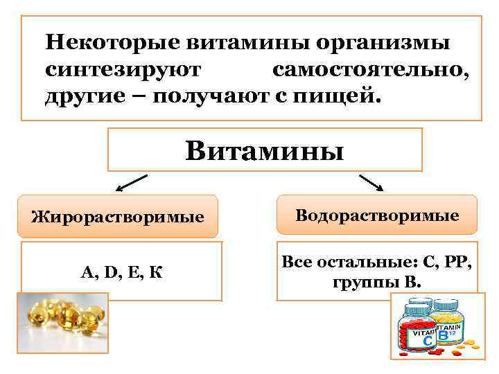 Некоторые витамины организмы синтезируют самостоятельно, другие – получают с пищей. Витамины Жирорастворимые Водорастворимые А,