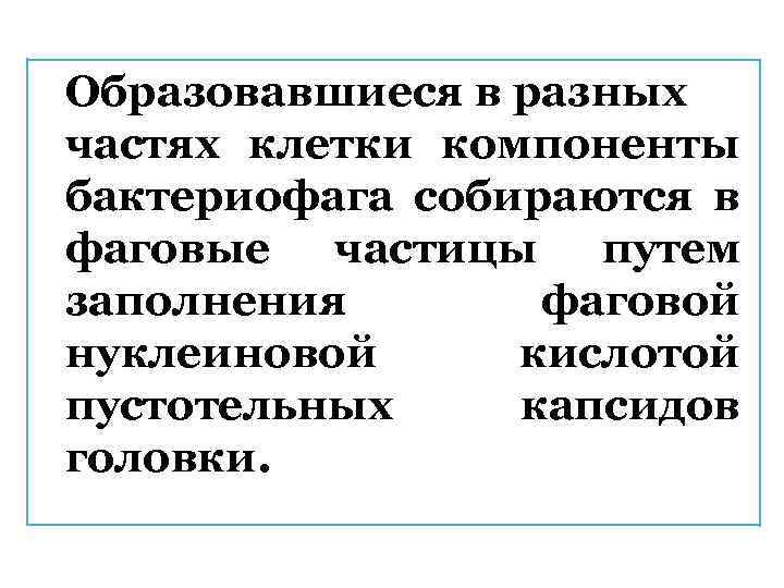 Образовавшиеся в разных частях клетки компоненты бактериофага собираются в фаговые частицы путем заполнения фаговой