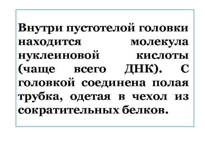 Внутри пустотелой головки находится молекула нуклеиновой кислоты (чаще всего ДНК). С головкой соединена полая