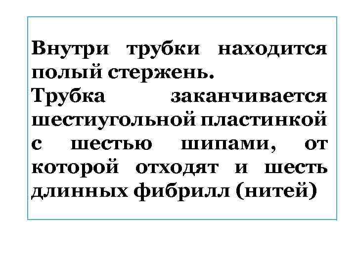 Внутри трубки находится полый стержень. Трубка заканчивается шестиугольной пластинкой с шестью шипами, от которой