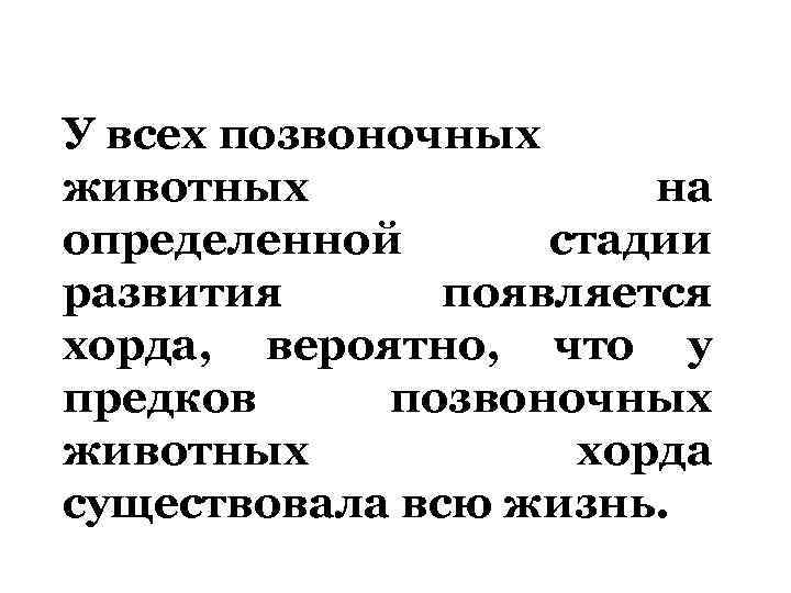 У всех позвоночных животных на определенной стадии развития появляется хорда, вероятно, что у предков