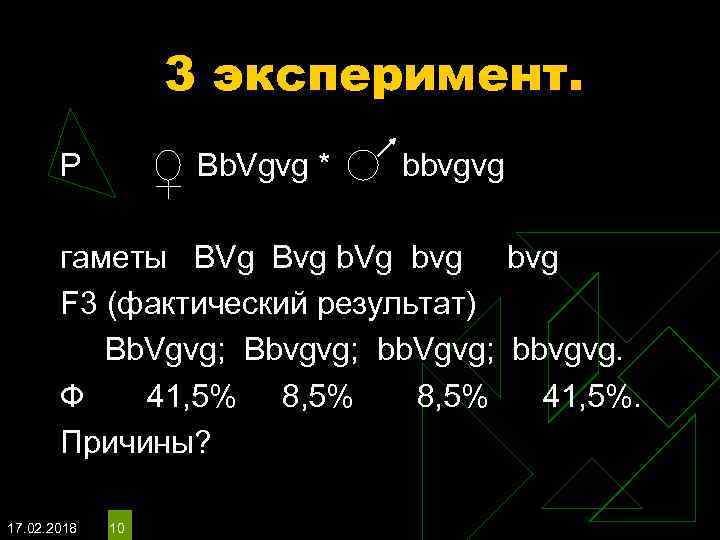 3 эксперимент. P Bb. Vgvg * bbvgvg гаметы BVg Bvg b. Vg bvg F