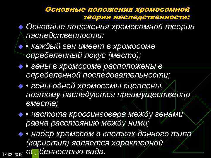 Хромосомная теория основные положения презентация