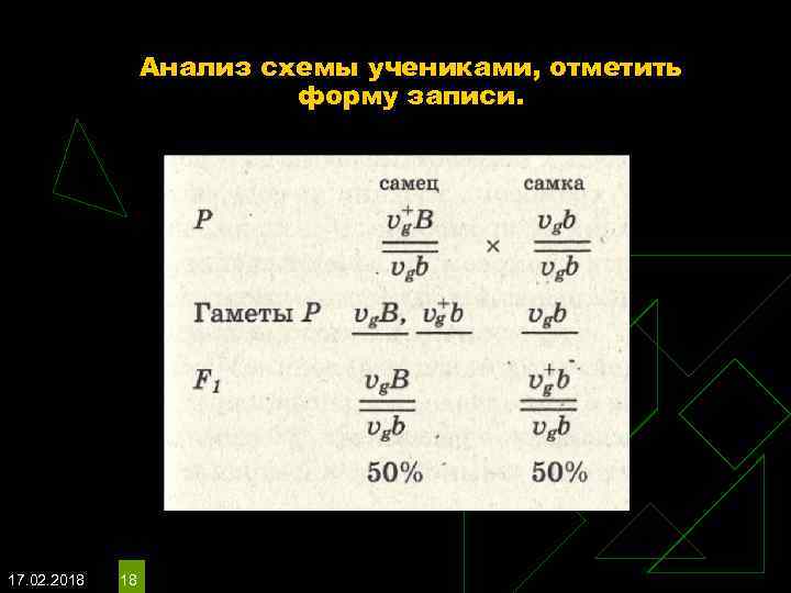 Анализ схемы учениками, отметить форму записи. 17. 02. 2018 18 