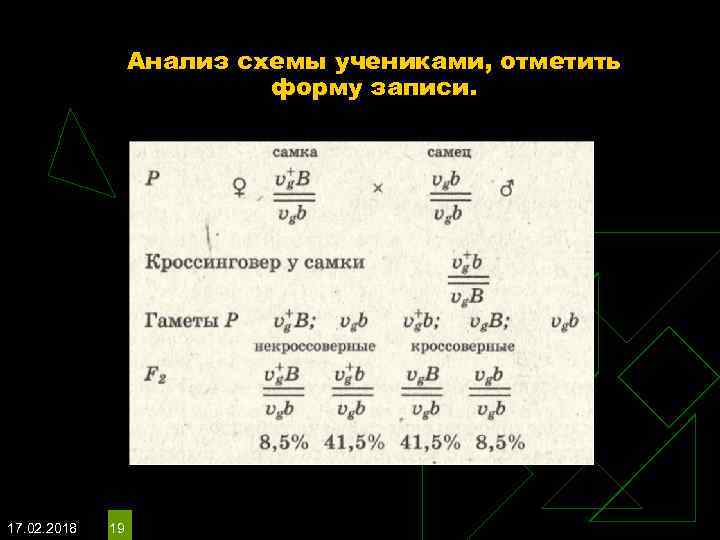 Анализ схемы учениками, отметить форму записи. 17. 02. 2018 19 