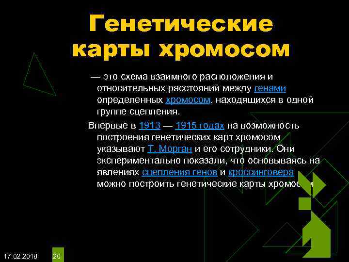 Генетические карты хромосом — это схема взаимного расположения и относительных расстояний между генами определенных