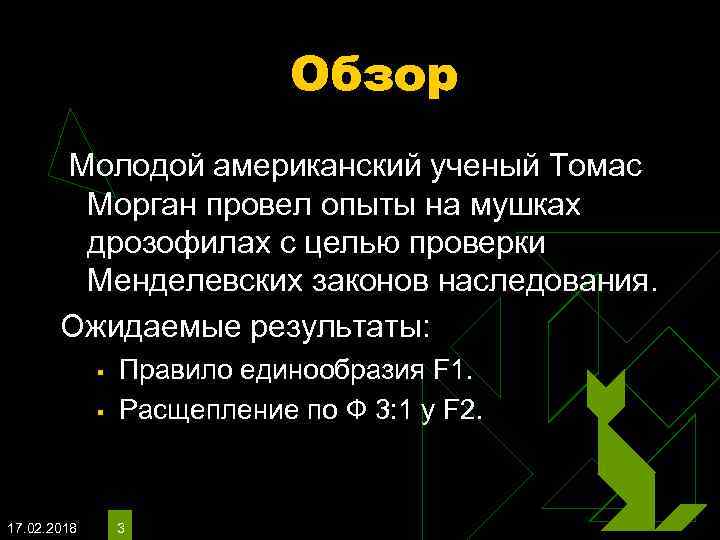 Обзор Молодой американский ученый Томас Морган провел опыты на мушках дрозофилах с целью проверки