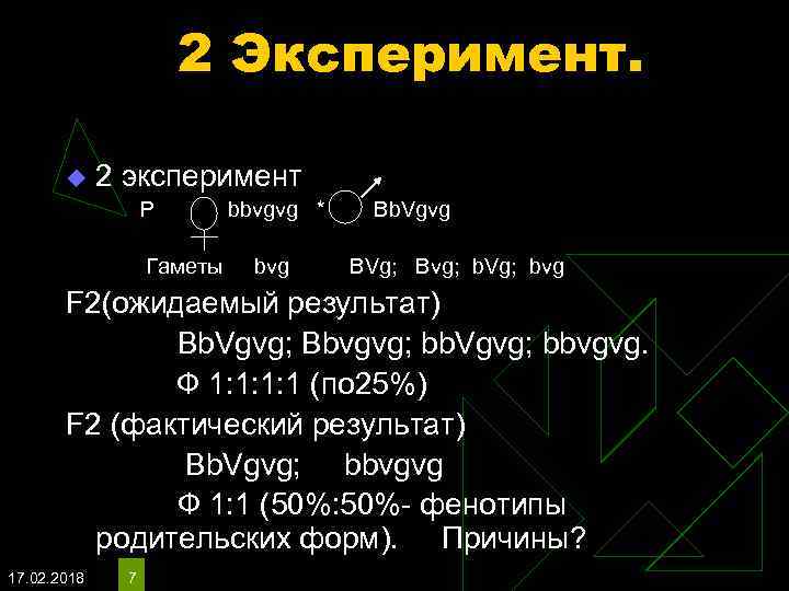 2 Эксперимент. u 2 эксперимент P bbvgvg * Bb. Vgvg Гаметы bvg BVg; Bvg;