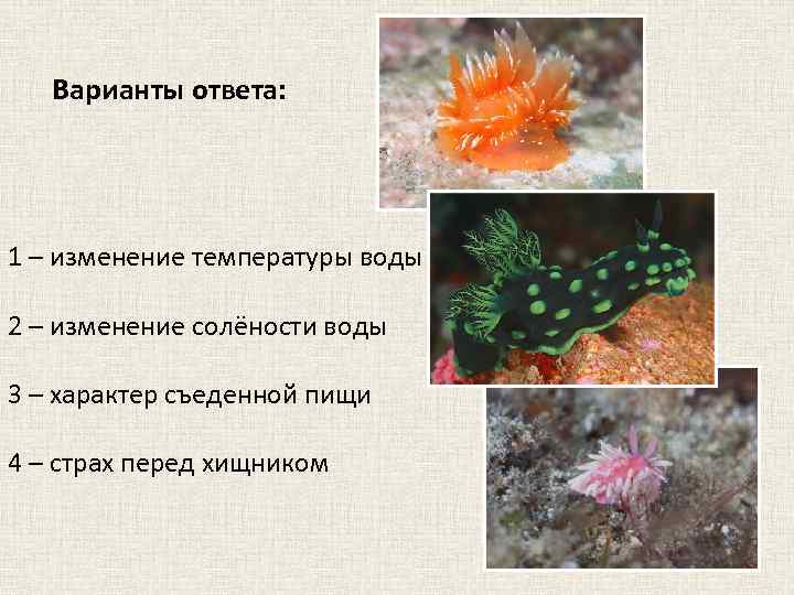 Варианты ответа: 1 – изменение температуры воды 2 – изменение солёности воды 3 –