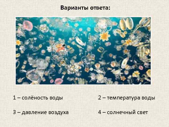 Варианты ответа: 1 – солёность воды 2 – температура воды 3 – давление воздуха