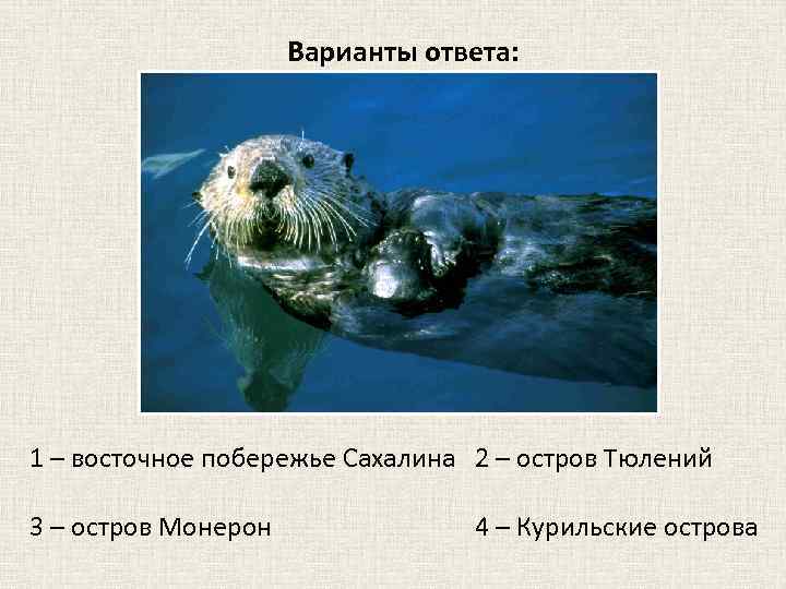 Варианты ответа: 1 – восточное побережье Сахалина 2 – остров Тюлений 3 – остров