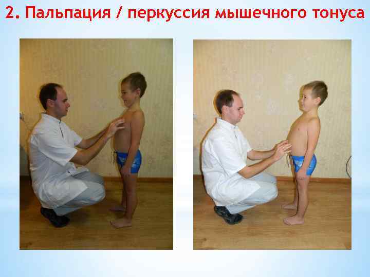 2. Пальпация / перкуссия мышечного тонуса 