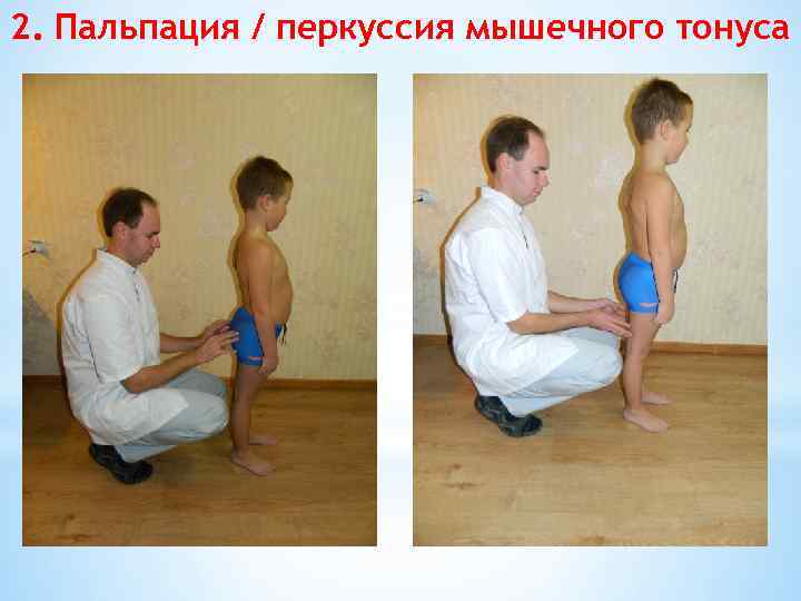 2. Пальпация / перкуссия мышечного тонуса 