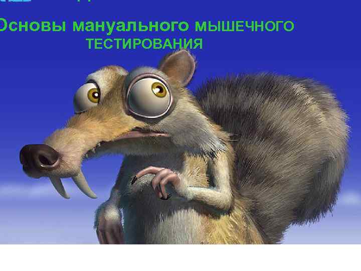 Основы мануального м. ЫШЕЧНОГО ТЕСТИРОВАНИЯ 