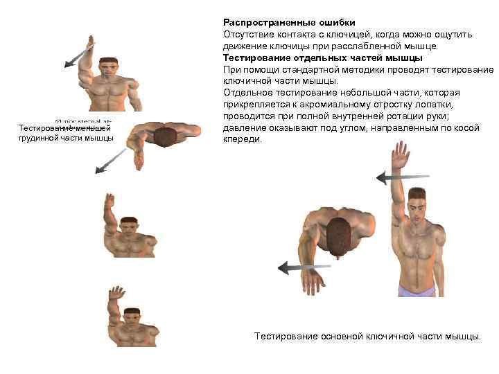 Тестирование меньшей грудинной части мышцы Распространенные ошибки Отсутствие контакта с ключицей, когда можно ощутить