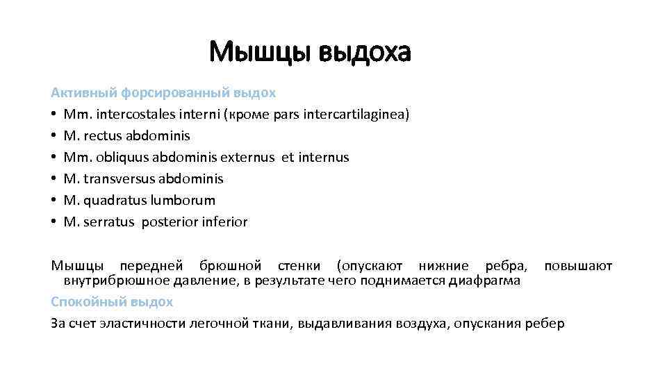 Мышцы выдоха Активный форсированный выдох • Mm. intercostales interni (кроме pars intercartilaginea) • M.