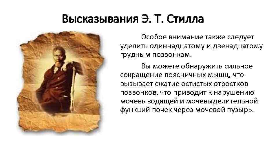 Высказывания Э. Т. Стилла Особое внимание также следует уделить одиннадцатому и двенадцатому грудным позвонкам.