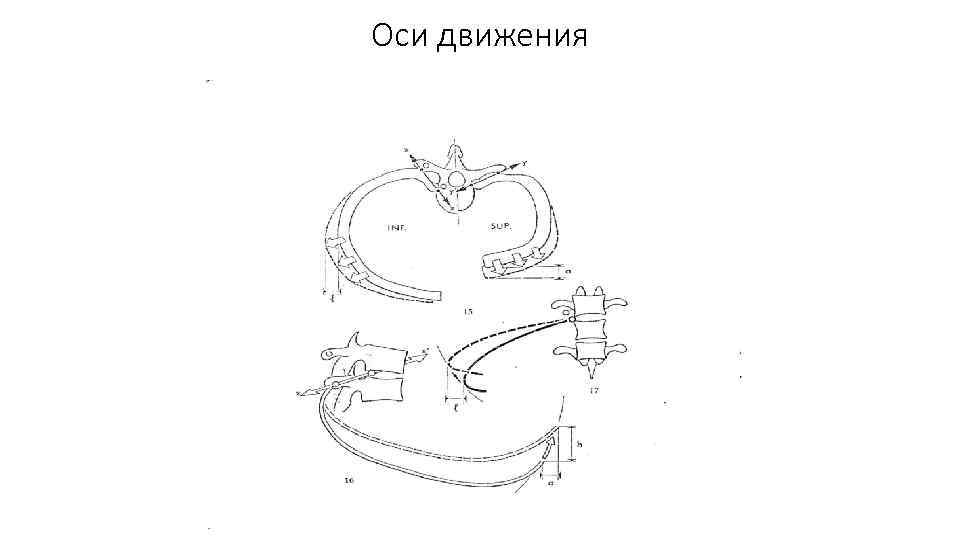 Оси движения 