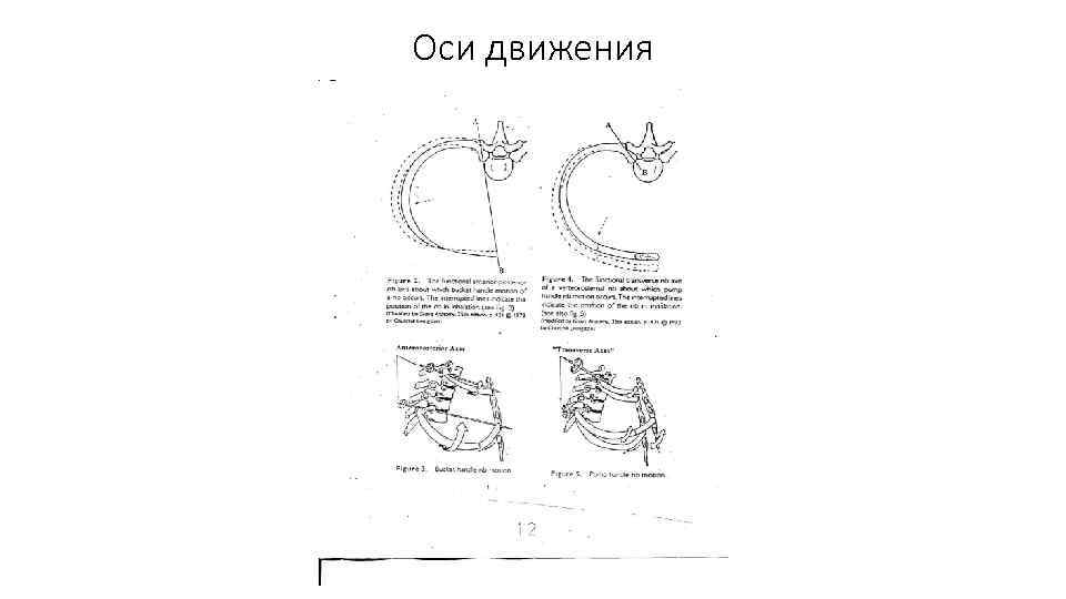 Оси движения 