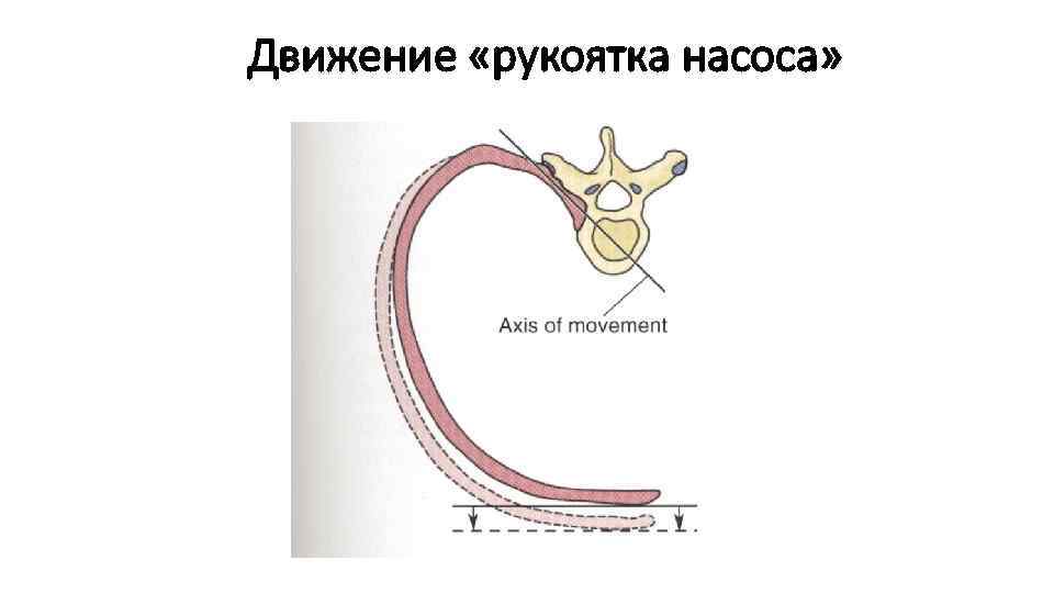 Движение «рукоятка насоса» 