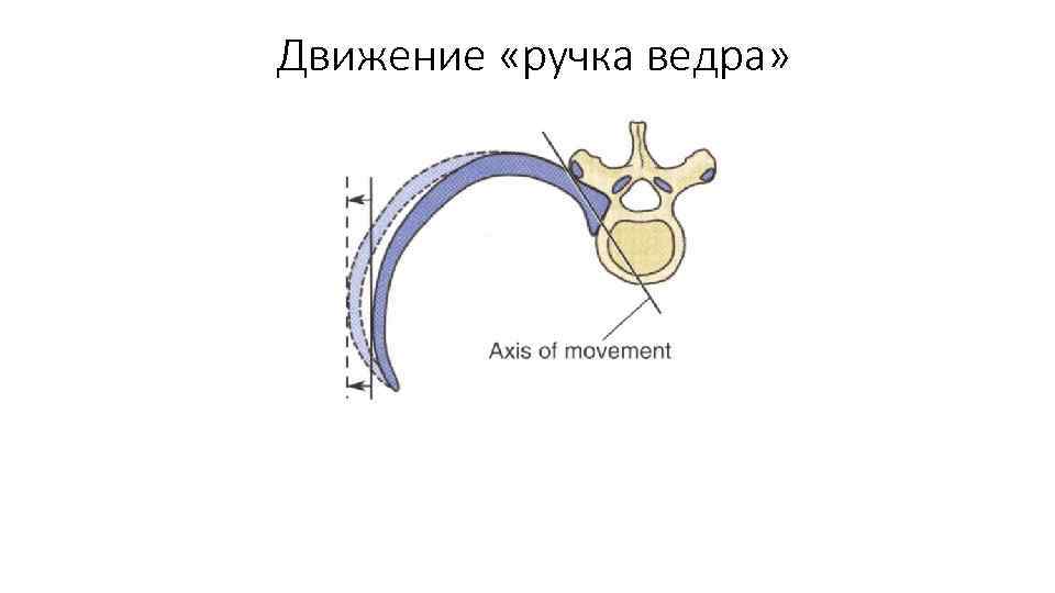Движение «ручка ведра» 