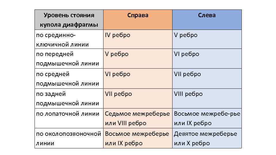 Уровень стояния купола диафрагмы Справа Слева по срединно. IV ребро ключичной линии по передней