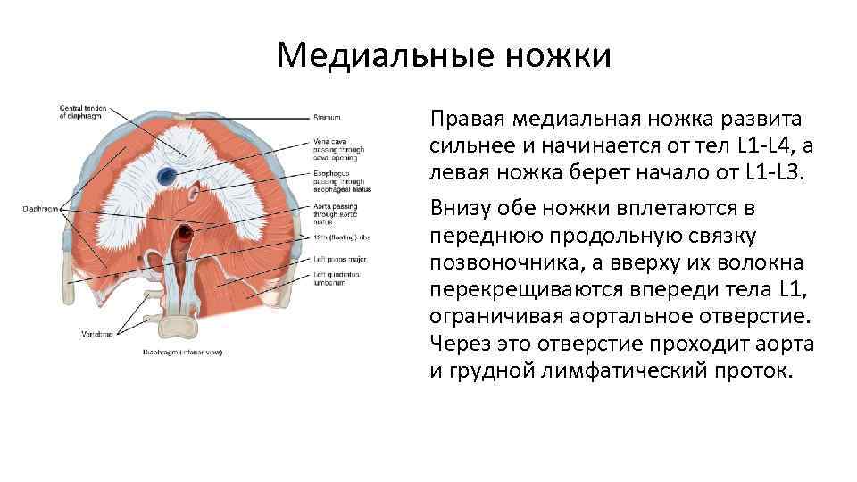 Размытие диафрагмы в фотошопе