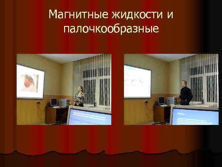 Магнитные жидкости и палочкообразные 