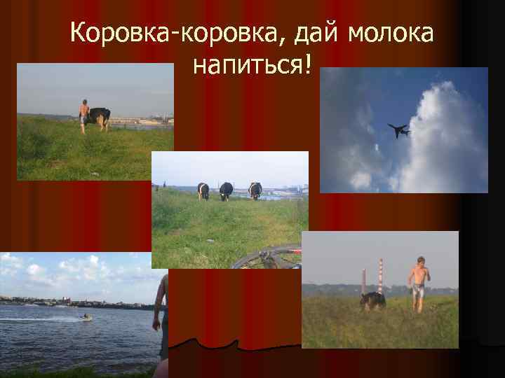 Коровка-коровка, дай молока напиться! 