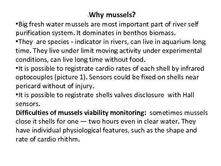 Why mussels? l • Big fresh water mussels are most important part of river