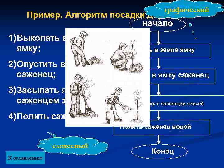 графический Пример. Алгоритм посадки дерева начало 1) Выкопать в земле ямку; 2) Опустить в