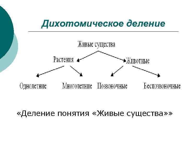 Дихотомическая картина мира