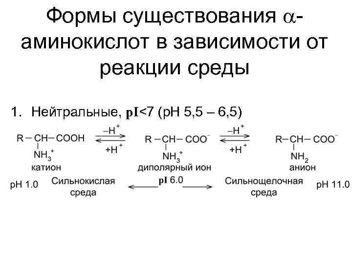 Формы существования aаминокислот в зависимости от реакции среды 1. Нейтральные, p. I<7 (p. H