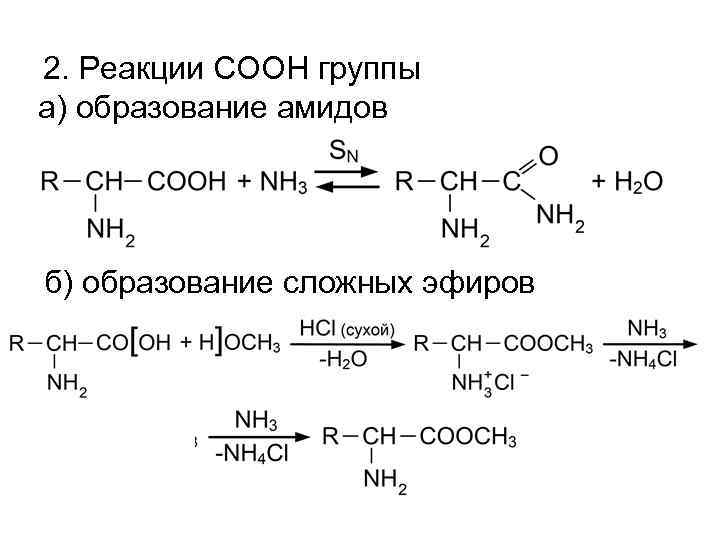 Схема реакции образования амида