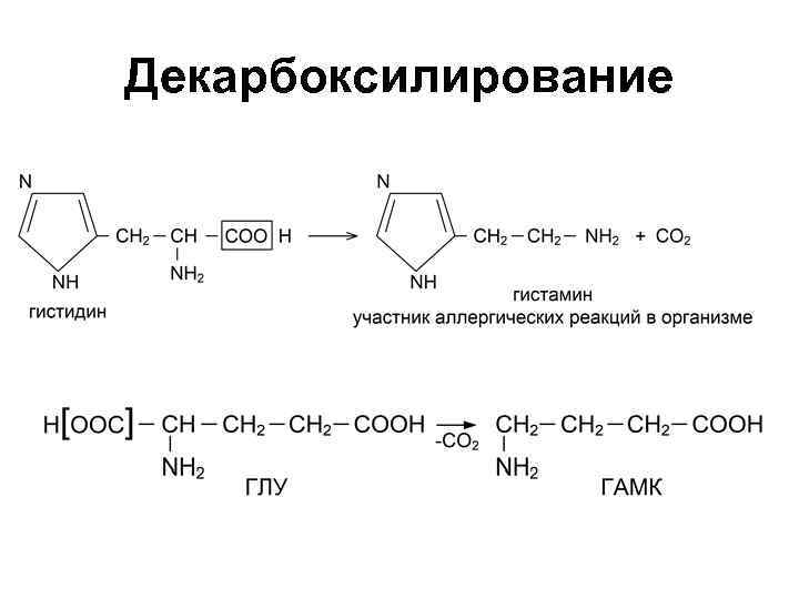 Декарбоксилирование аминокислот презентация