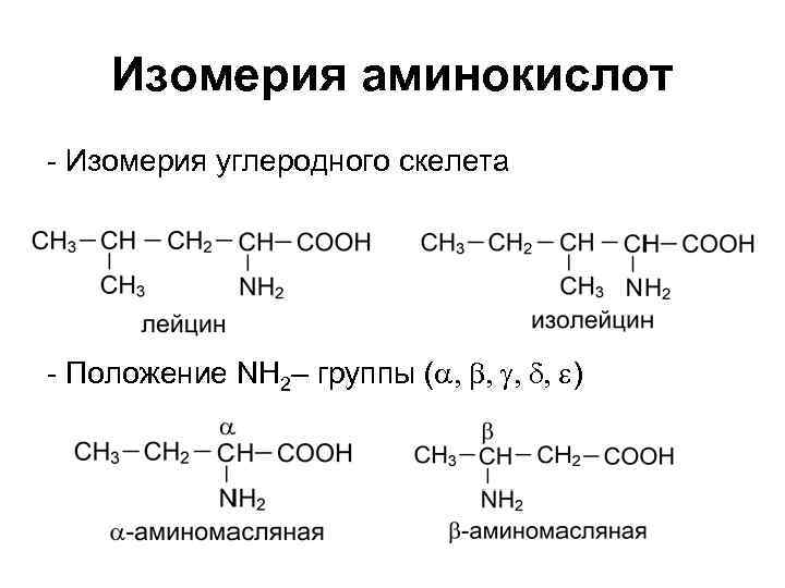 Аминокислоты белки химия 10 класс презентация