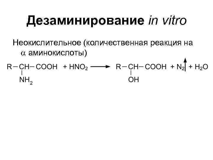 Дезаминирование in vitro Неокислительное (количественная реакция на a аминокислоты) 