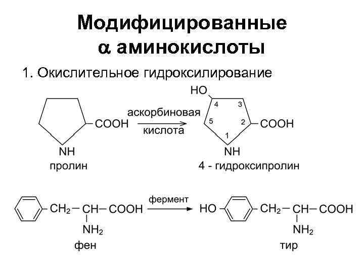 Синтез аминокислот